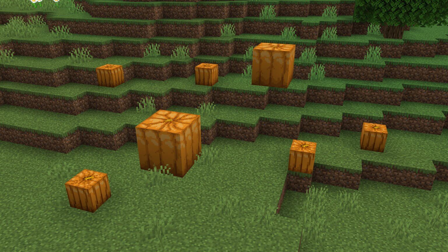 How to Grow Pumpkins in Minecraft?