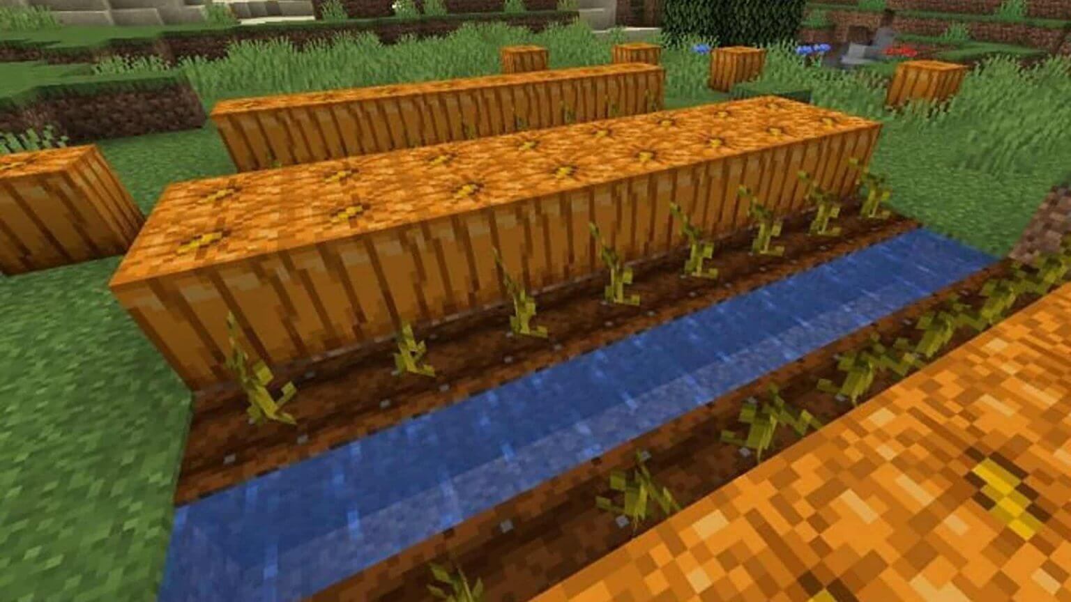 How to Grow Pumpkins in Minecraft?